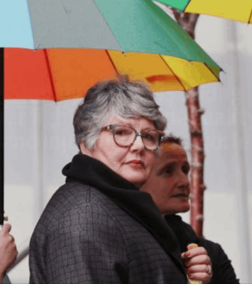 High Court Action Against Government